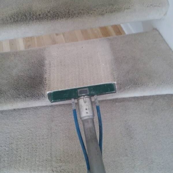 Dave's Carpet & Upholstery Cleaning Co.