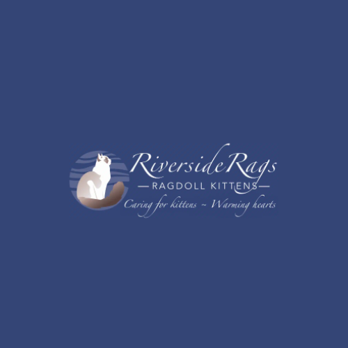 Riverside Rags - Ragdoll Kittens